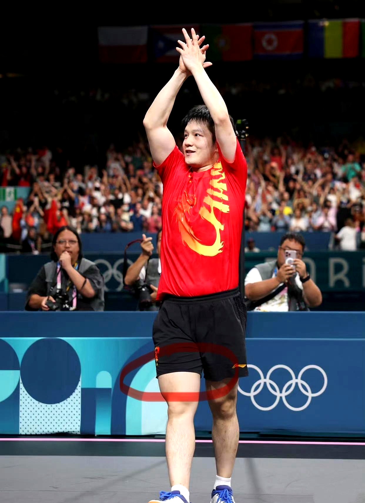 奥地利队轻取波兰队，樊振东高光表现