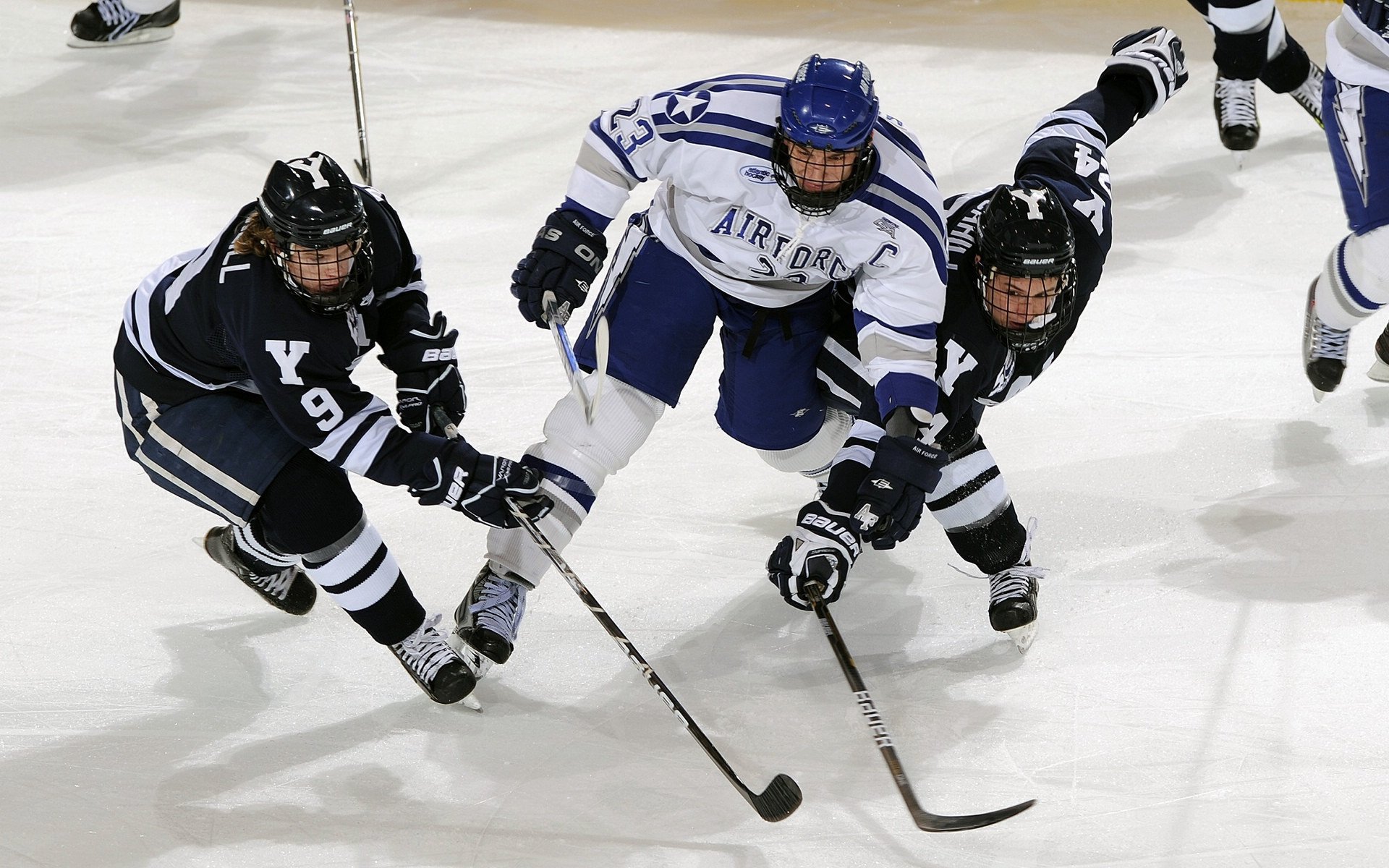 猛龙封锁黄蜂,利拉德成为关键先生
