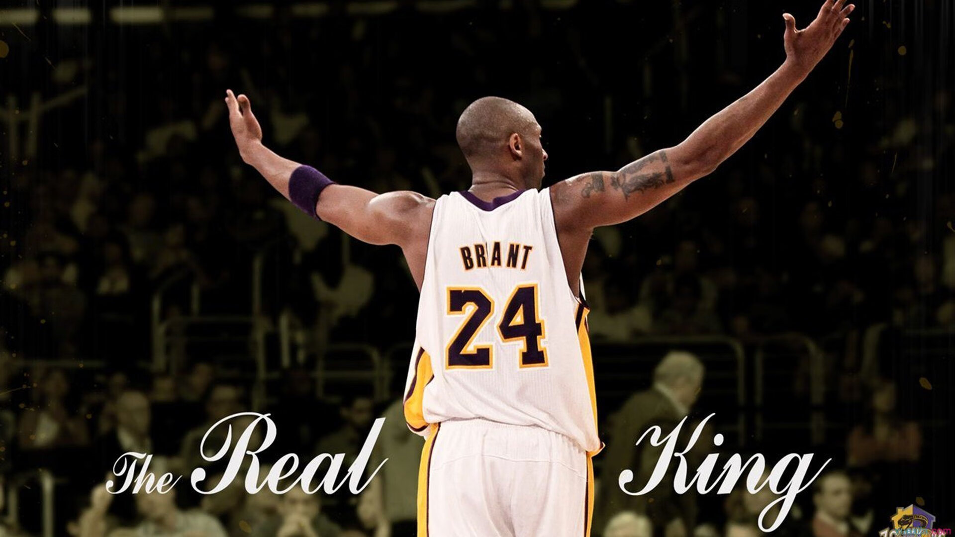 雷速体育直播-欧文独舞，公牛力克深圳，一场跨越文化的篮球对话